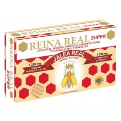 REINA REAL SUPER ROBIS