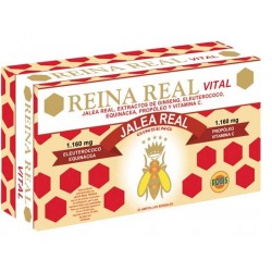 REINA REAL VITAL ROBIS