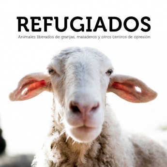 REFUGIADOS - ANIMALES LIBERADOS DE GRANJAS, MATADEROS Y OTROS CENTROS DE OPRESIÓN - Tras los muros