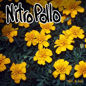 NITROPOLLO - What´s the point?