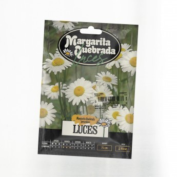 MARGARITA QUEBRADA - Luces